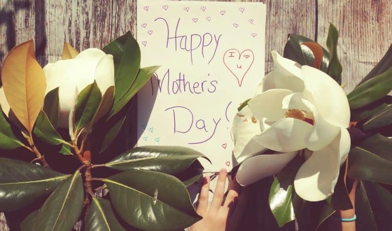 Dates 2026, histoire et traditions de la fête des mères à travers le monde : découvrez quand la célébrer et nos idées cadeaux tendance
