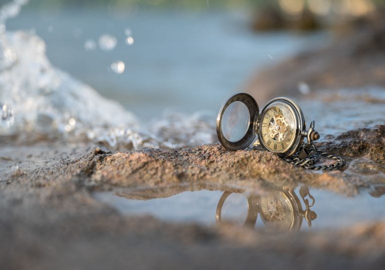 Bijoux marins : coquillages, coraux et étoiles de mer